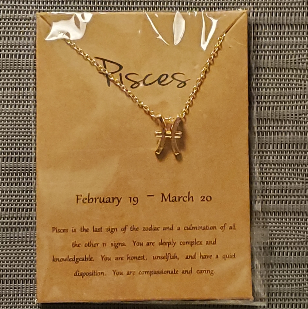 ♓ PISCES Zodiac Sign Pendant Necklace